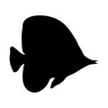 Black silhouette of a fish on a white background. Royalty Free Stock Photo