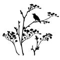 Black silhouette of a flowering bush with a bird.