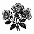 Black And White Flowers Illustration Inspired By Mantegna And Fairey