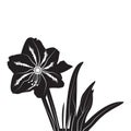 Black silhouette flowers. Vector illustration icon. Vector black silhouettes of flowers isolated on a white background Royalty Free Stock Photo