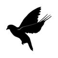black silhouette of flying dove. Royalty Free Stock Photo