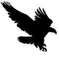 Black Silhouette Flying Golden Eagle vector Royalty Free Stock Photo