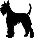 Giant Schnauzer Black Silhouette Generative Ai Royalty Free Stock Photo