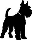 Giant Schnauzer Black Silhouette Generative Ai Royalty Free Stock Photo