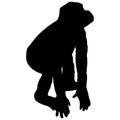 Black silhouette gorilla on a white background Royalty Free Stock Photo