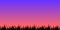 The black silhouette of the grass on the lower edge against the pink red blue purple sunset sky. Template for postcard, poster, Royalty Free Stock Photo