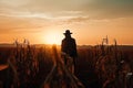 Black silhouette of halloween scarecrow on field. Royalty Free Stock Photo