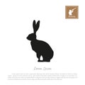 Black silhouette of a hare on a white background. Icon hunter with a gun