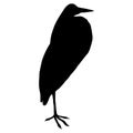 Black silhouette of a heron on a white background. Royalty Free Stock Photo