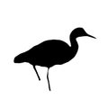 Black silhouette of a heron on a white background. Royalty Free Stock Photo