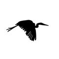 Black silhouette of a heron on a white background. Royalty Free Stock Photo