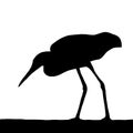 Black silhouette of a heron on a white background. Royalty Free Stock Photo