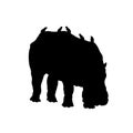 Black silhouette of hippopotamus with birds on white background. Isolated hippo icon. Wild african animals