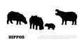 Black silhouette of hippopotamus family on white background. Isolated scene with hippos. Landscape of african animals