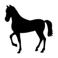 Black Silhouette Of Horse Isolated on the White Background. Web Template Design. Flat Style. Vector Illustration Royalty Free Stock Photo