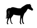 Black silhouette horse wild or domestic animal cartoon design flat vector illustration isolated on white background Royalty Free Stock Photo