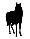 Black silhouette horse wild or domestic animal cartoon design flat vector illustration isolated on white background Royalty Free Stock Photo