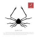 Black silhouette of a Japanese spider crab