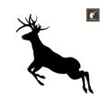 Black silhouette of jumping deer on white background. Forest animals. Detailed isolated image Royalty Free Stock Photo