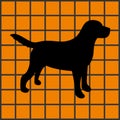 Black silhouette of a Labrador on a orange background. Vector illustration. Royalty Free Stock Photo