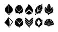 Black silhouette leaf shapes with varied geometric patterns and abstract botanical style vector art design elements isolated on Royalty Free Stock Photo