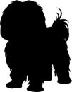 Lhasa apso Black Silhouette Generative Ai