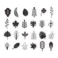 Black silhouette and line summer and tropical leaves icons set