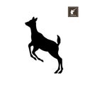 Black silhouette of little deer on white background. Forest animals. Detailed isolated image Royalty Free Stock Photo