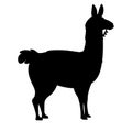 Black silhouette of llama cartoon animal design flat vector illustration isolated on white background side view Royalty Free Stock Photo