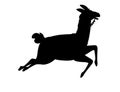 Black silhouette of llama running cartoon animal design flat vector illustration isolated on white background side view Royalty Free Stock Photo