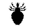 The black silhouette of a louse