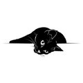 Black silhouette lying cat