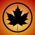 A black silhouette of a maple leaf is enclosed within a circular border Royalty Free Stock Photo