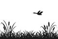 Black silhouette of marsh grass, flying duck, lake reeds, seamless grass.