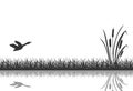The black silhouette of marsh grass with flying duck is reflected in the water.