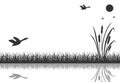 The black silhouette of marsh grass with flying ducks is reflected in the water.