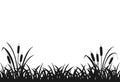 Black silhouette of marsh grass, lake reeds, seamless grass.