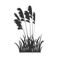 Black silhouette of marsh grass, lake reeds. Vector illustration of grass in the form of shadow. Royalty Free Stock Photo