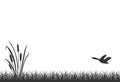 Black silhouette of marsh grass with reeds and flying duck. Lake reed, seamless grass.