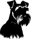 Miniature Schnauzer Black Silhouette Generative Ai Royalty Free Stock Photo