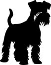 Miniature Schnauzer Black Silhouette Generative Ai Royalty Free Stock Photo