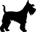 Miniature Schnauzer Black Silhouette Generative Ai Royalty Free Stock Photo