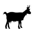 Black silhouette of mountain goat on white background of Royalty Free Stock Photo