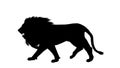 Black silhouette of a moving lion. Alpha channel. Alpha matte. FullHD.