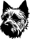 Norwich Terrier Black Silhouette Generative Ai