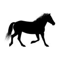 The black silhouette of one running horse is isolated on the white background Royalty Free Stock Photo