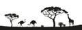 Black silhouette of ostrich, giraffe in savannah. Animals of Africa. African landscape. Panorama of wild nature