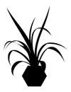 Black silhouette of a palm plant in a pot, potted palm, vector
