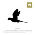 Black silhouette of a parrot on a white background. Animals of Australia Royalty Free Stock Photo