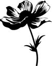 pasque flower Black Silhouette Generative Ai